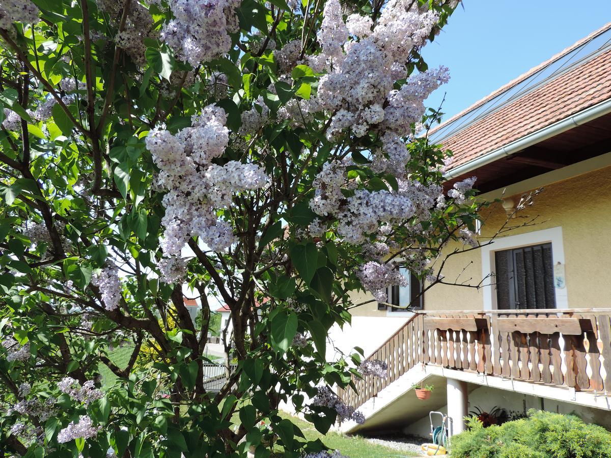 Weingut Gaestezimmer Gruber Ehrenhausen Cameră foto